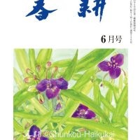 月刊俳句雑誌「春耕」2024年6月号（通巻539)俳句でつづる生活と美「春耕俳句会」発行